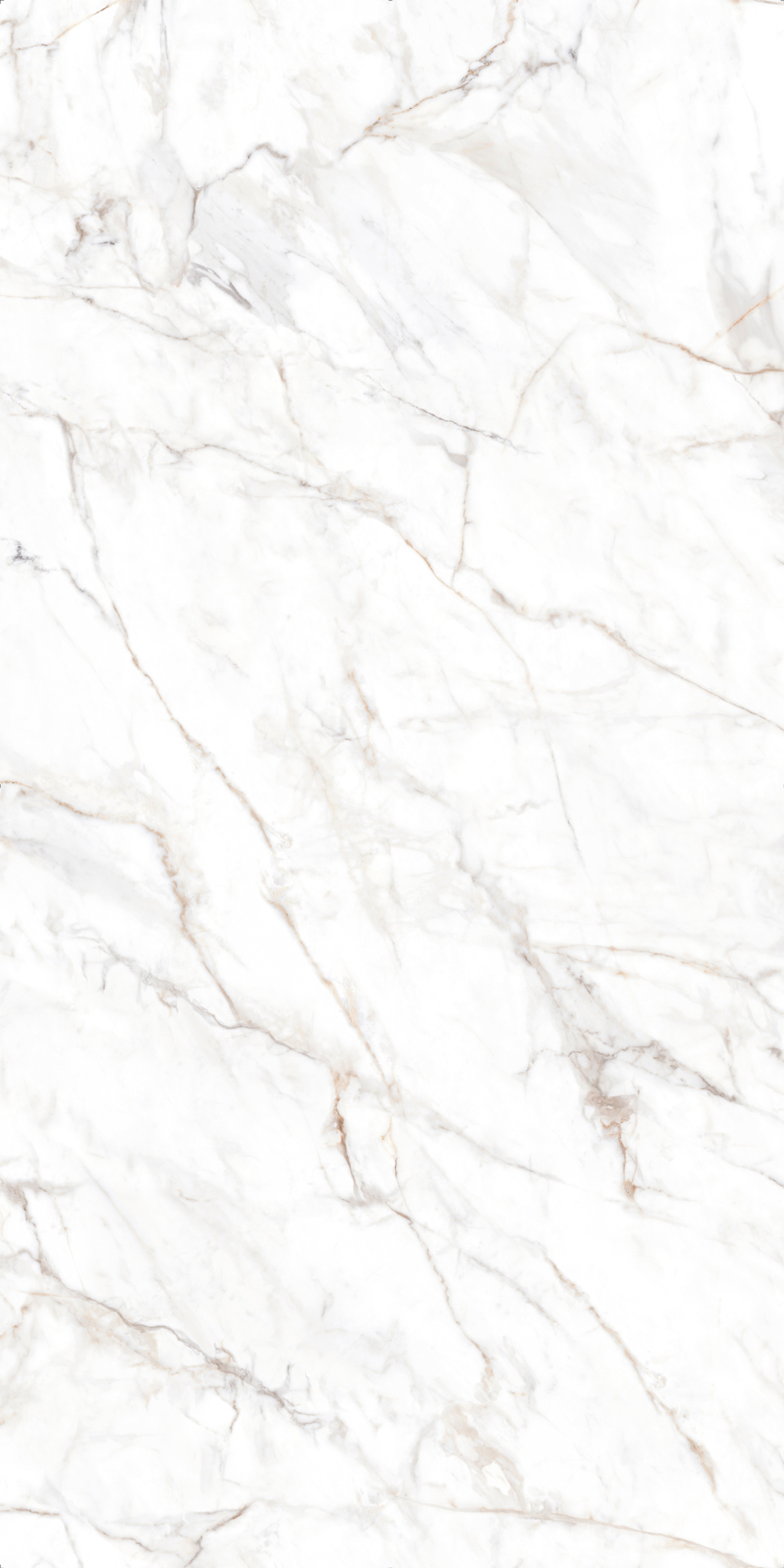 Section Sample Calacatta Oro Honed 6 x6 Moderno Shower Systems section-sample-calacatta-oro-honed-6-x6-moderno-shower-systems